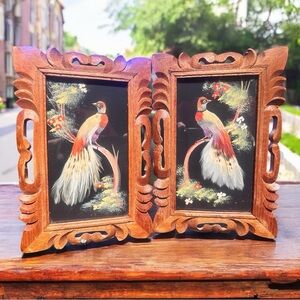 Set of 2 Vintage Real Feather Exotic Birds in Hand-carved Wooden Frames (VGUC)
